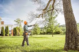 Best Pest Control for Lawns  in Clive, IA